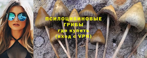 скорость mdpv Пролетарск